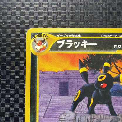 Pokemon Card Pikachu Promo 2000-2002 in premium file with minor wear visible