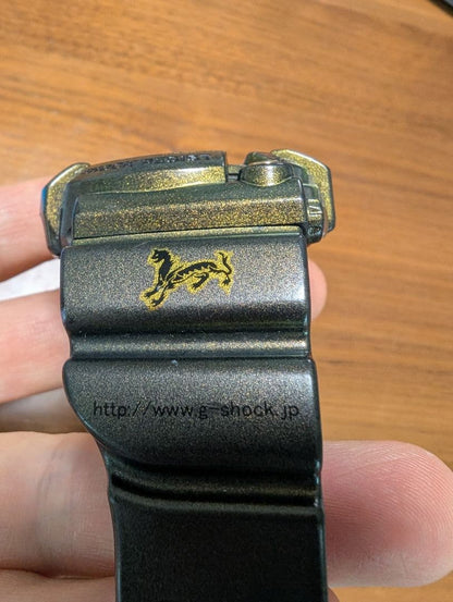 Casio G-Shock Frogman GW-200 Model Diver's Watch with Black and Green Colors — Japan Import