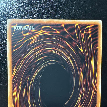 Yugioh Red-Eyes Black Dragon 25th Secret Asia alternate artwork trading card with visible scratches and wear