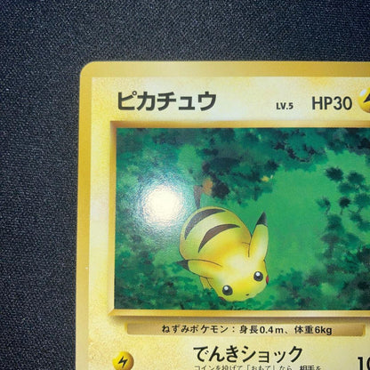 Bandai Pikachu old card collection gift set including Pikachu, Charizard, Mew and other vintage character cards