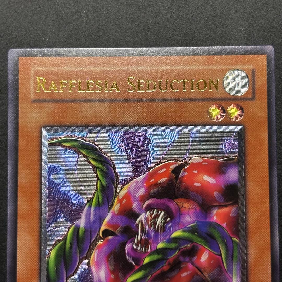 Yugioh Confusion of Lafresia Relief card Old Asia region Japan import with protective packaging