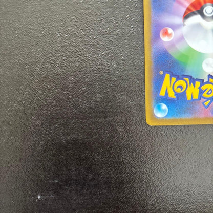Bandai Charizard V SAR Japanese Pokemon Card in protective sleeve displayed on white background