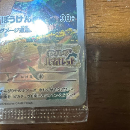 Bandai Pokemon Scarlet Violet Early Purchase Bonus Pack 2 sets boxed showing unopened cards in separate compartments