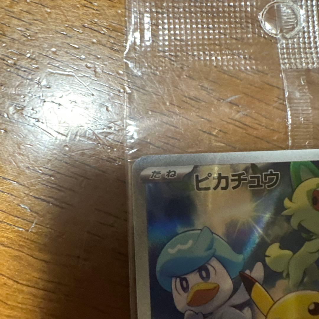 Bandai Pokemon Scarlet Violet Early Purchase Bonus Pack 2 sets boxed showing unopened cards in separate compartments
