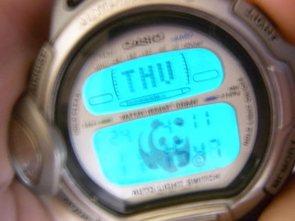 Casio Pro Trek WWF Limited Panda Model PRL-20WBJ-1T