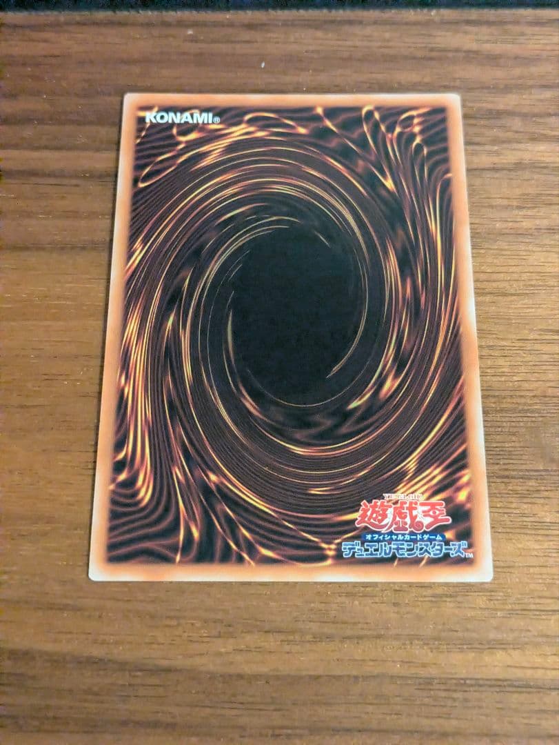 Bandai Yu-Gi-Oh Red Eyes Black Dragon 25th Special Artwork Variant card Japan import