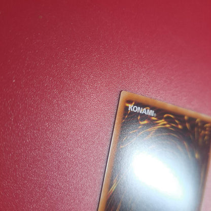 Yugi-Two Blue-Eyes White Dragon holographic rare trading card from TRC set with fine scratches