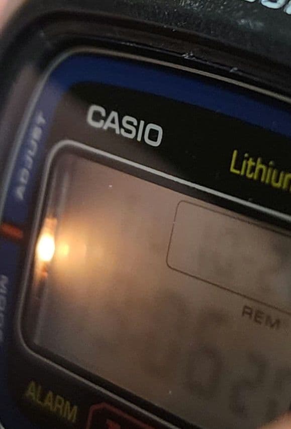 Casio Vintage 690 DW-310 Watch