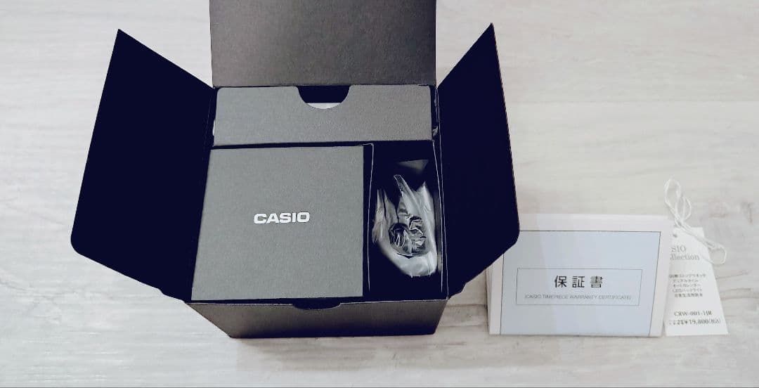 Casio Ringwatch CRW-001-1JR Silver Model Ring Watch