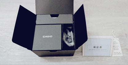 Casio Ringwatch CRW-001-1JR Silver Model Ring Watch