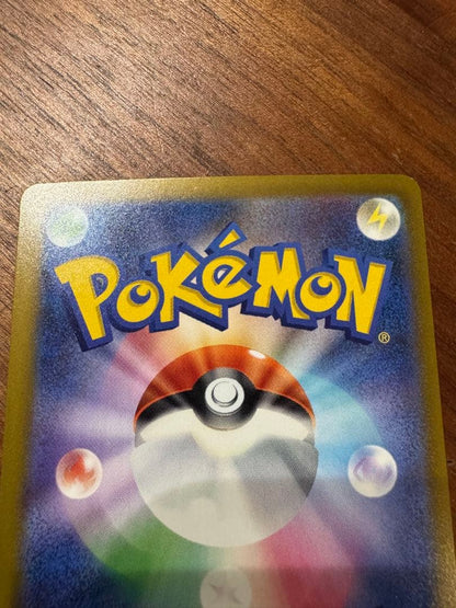 Pokemon card set featuring Mega Charizard X ex MA and Mega Gengar ex MA cards in protective sleeves