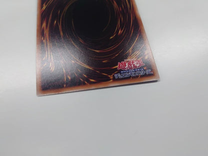 Yugioh Reinforcement Rakkashina illustration variant trading card with 25th ArtWorks accessories Japan import