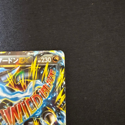 Nintendo XY Series XY2 Wild Blaze M Charizard EX RR trading card number 055/080 Japan import
