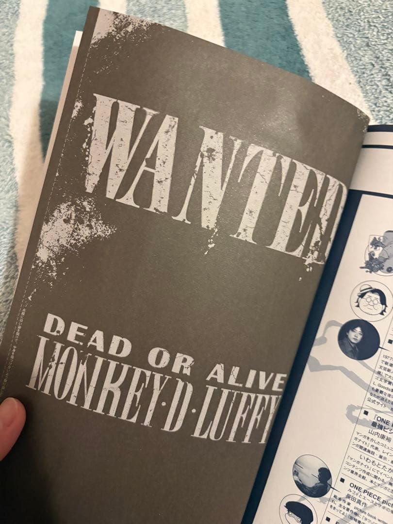 BANDAI One Piece Monkey D Luffy SP SEC OP13-118 Wanted Poster Edition trading card Japan import