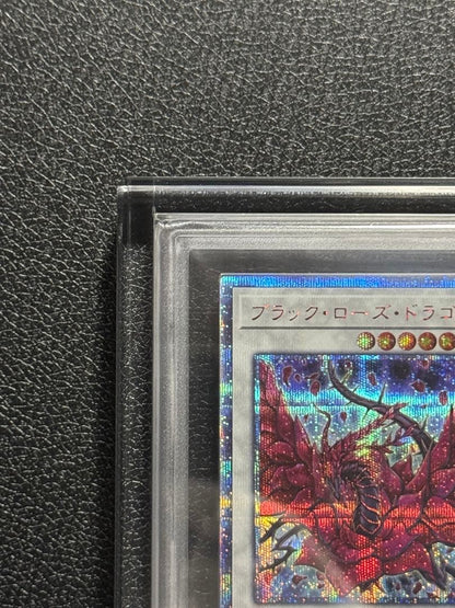 Yugioh Black Rose Dragon 20th ARS10+ card with acrylic case showing front and box with scratches