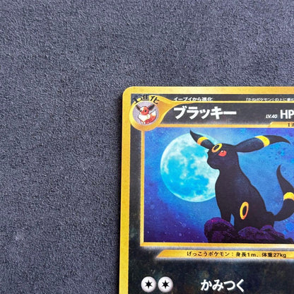 Japanese Pokemon Card Blastoise Old Back Expansion Pack 2 Ruins Beyond with scratched back and clean front