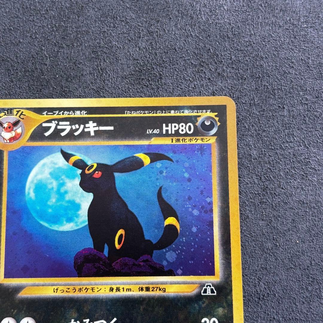 Japanese Pokemon Card Blastoise Old Back Expansion Pack 2 Ruins Beyond with scratched back and clean front