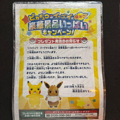 Pokemon Inc Original Promo Pikachu Card PSA10 Limited 5000 Pieces Japan Import