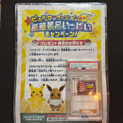 Pokemon Inc Original Promo Pikachu Card PSA10 Limited 5000 Pieces Japan Import