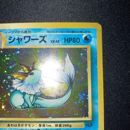 Vintage Japanese Lizardon Pikachu Mew Eevee Gengar Lugia Espeon Umbreon Lily Marnie Acerola Carddass cards from personal collection
