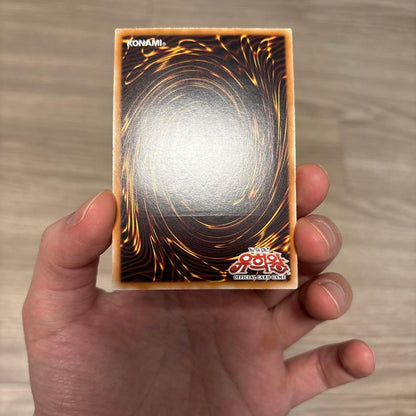 Yugioh Queen's Knight King's Knight Jax Knight Korean Relief holographic secret rare cards in English