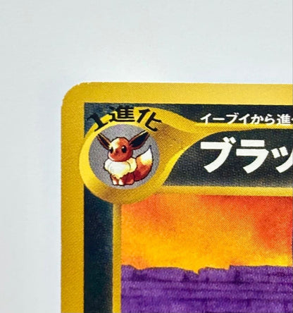 Bandai Pikachu Promo Second Generation trading card number 045/000 with visible handling wear