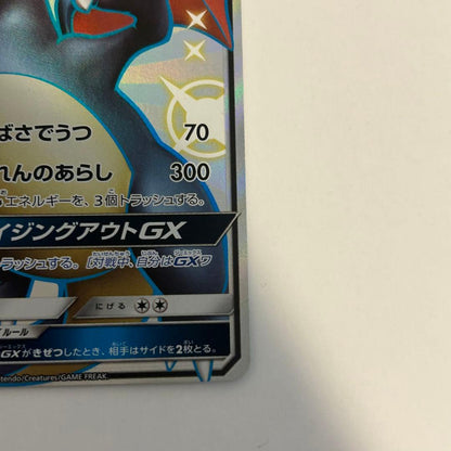 Bandai Pokémon Charizard V and Charizard GX trading cards set Japan import with model numbers 307/190 and 209/150