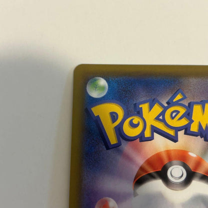 Bandai Pokémon Charizard V and Charizard GX trading cards set Japan import with model numbers 307/190 and 209/150