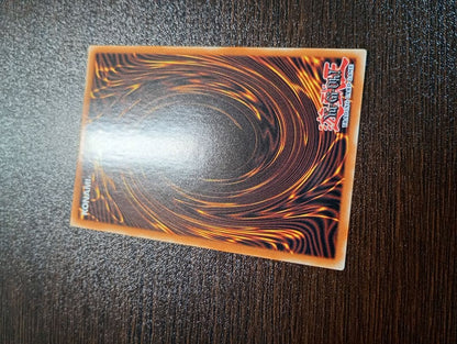 YuGiOh Hecatomb Dragon Grandgignol Starlight Rare English Edition First Edition trading card near-mint