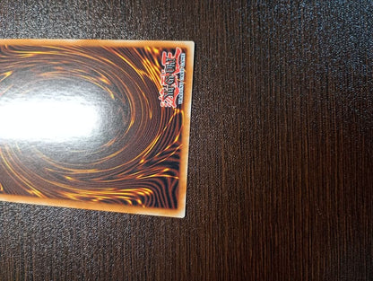 YuGiOh Hecatomb Dragon Grandgignol Starlight Rare English Edition First Edition trading card near-mint