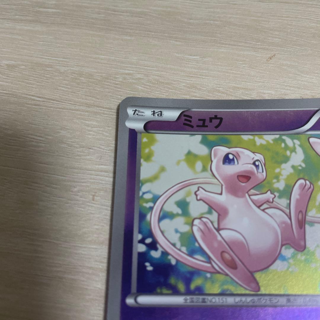 Pokemon Mew 220/BW-P Battle Carnival 2013 Spring promo card in protective sleeve and rigid case