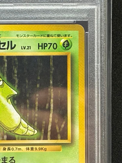 Ogi Chiyo Old First Edition Pokemon Card graded PSA9 with no marks, vintage collectible