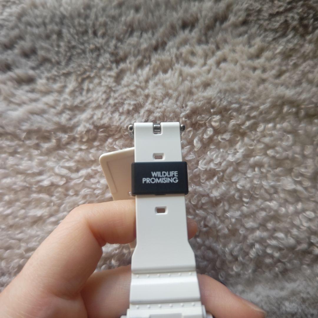 Baby-G WILDLIFE PROMISING Collaboration Model Gravy Zebra Watch