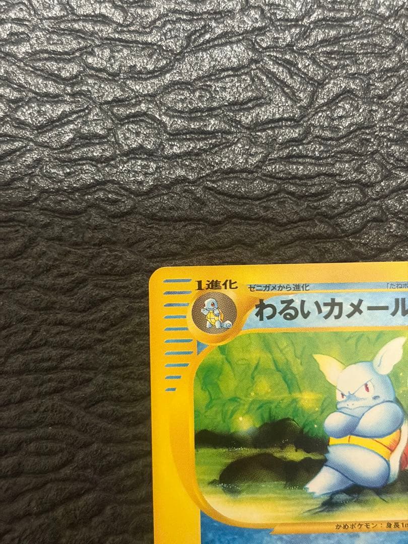 Pokemon Card Wruim Kameil No.008 old back design from Rocket Gang collection shown flat