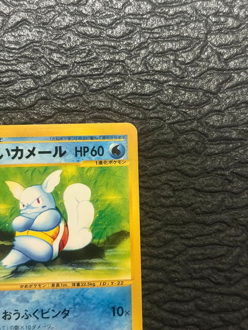 Pokemon Card Wruim Kameil No.008 old back design from Rocket Gang collection shown flat