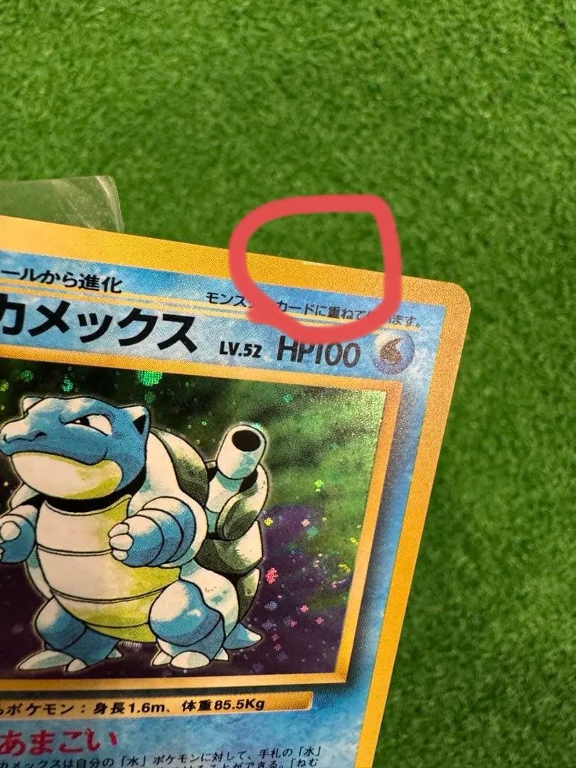 Bandai Pokemon Card Capsule Meganium Old Rare card in protective sleeve with clear visible details