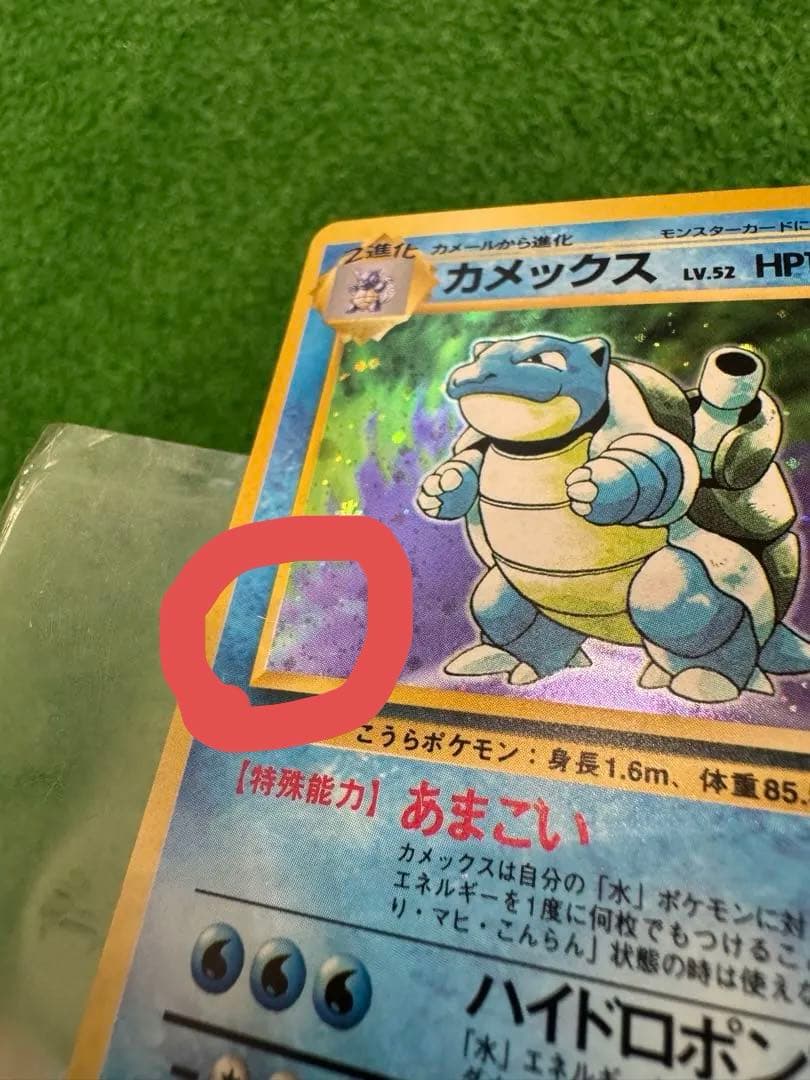 Bandai Pokemon Card Capsule Meganium Old Rare card in protective sleeve with clear visible details