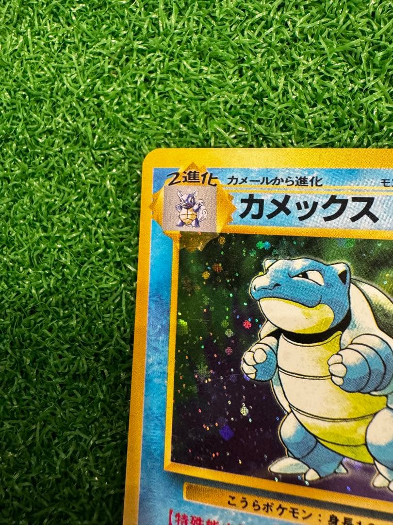 Bandai Pokemon Card Capsule Meganium Old Rare card in protective sleeve with clear visible details