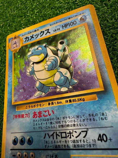 Bandai Pokemon Card Capsule Meganium Old Rare card in protective sleeve with clear visible details