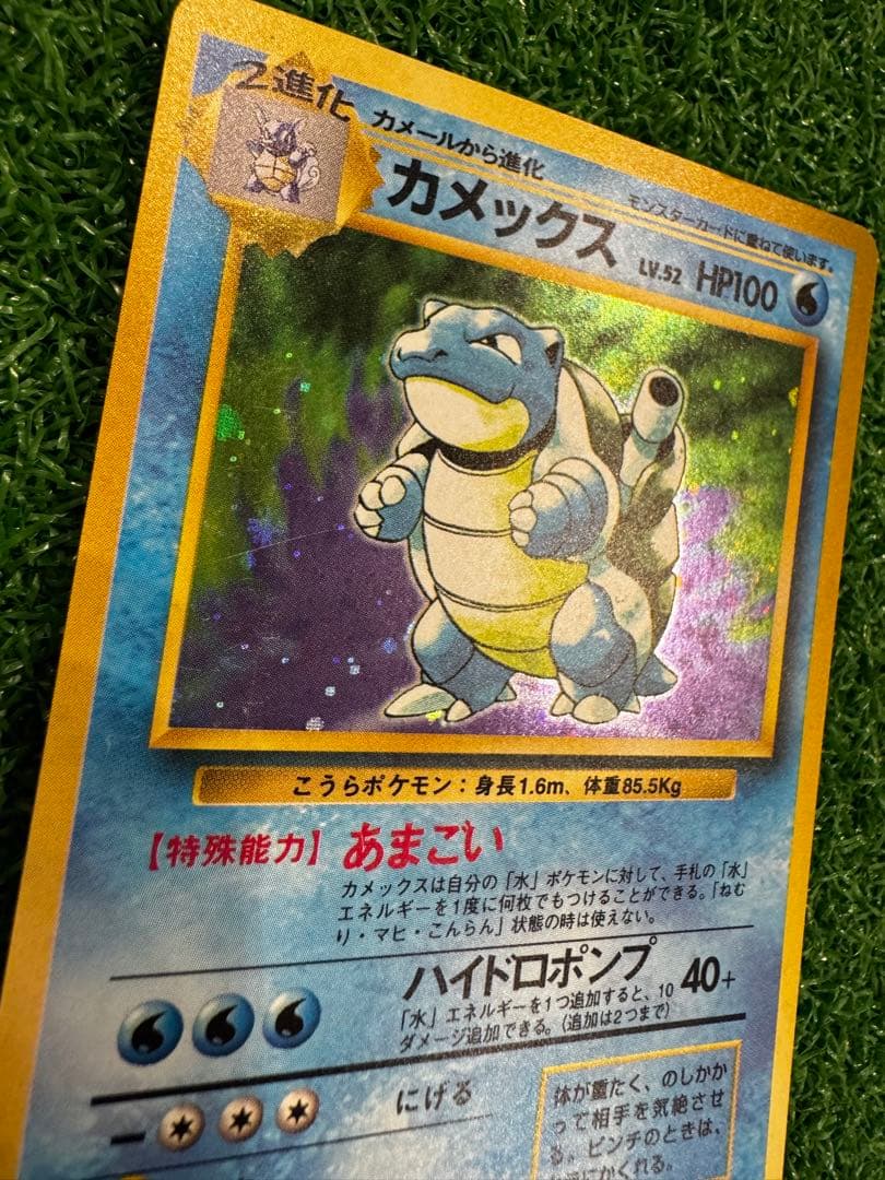 Bandai Pokemon Card Capsule Meganium Old Rare card in protective sleeve with clear visible details
