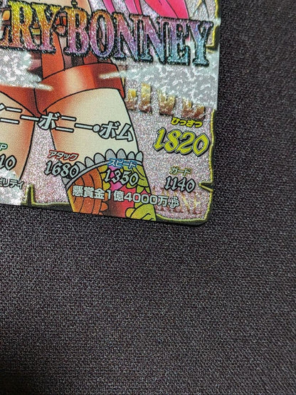 One Piece Treasure World Data Carddass Jewelry Bonnie RR old collectible card from Japan import