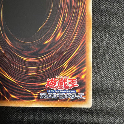 Yugioh Black Magician Girl 25th Art Variant trading card Japan Edition
