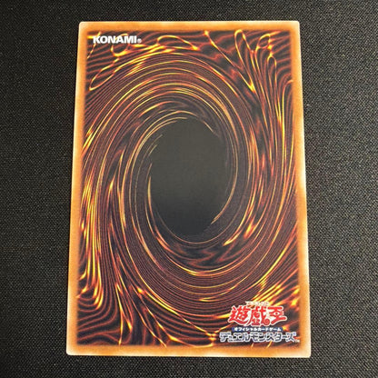 Yugioh Black Magician Girl 25th Art Variant trading card Japan Edition