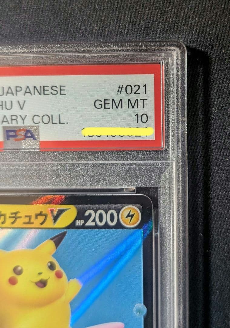 Pokemon Card Naminori Pikachu V RR 021/028 graded PSA10 Japan import single card