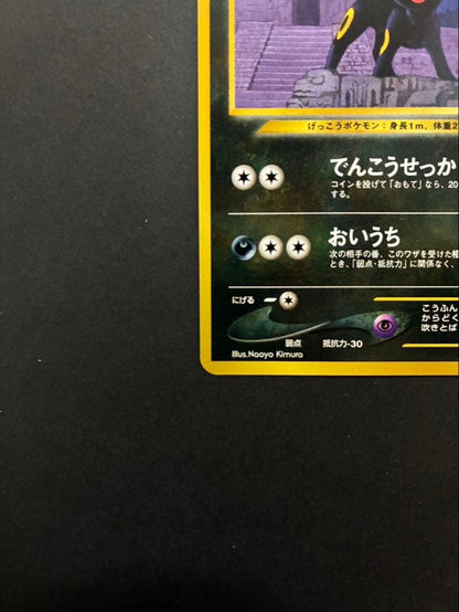 Pokemon Umbreon Old Back card stored in Premium File 2 with sleeve and loader