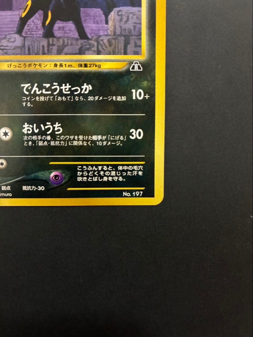 Pokemon Umbreon Old Back card stored in Premium File 2 with sleeve and loader