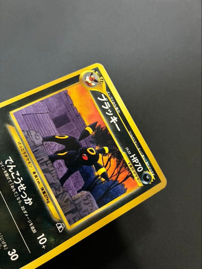 Pokemon Umbreon Old Back card stored in Premium File 2 with sleeve and loader