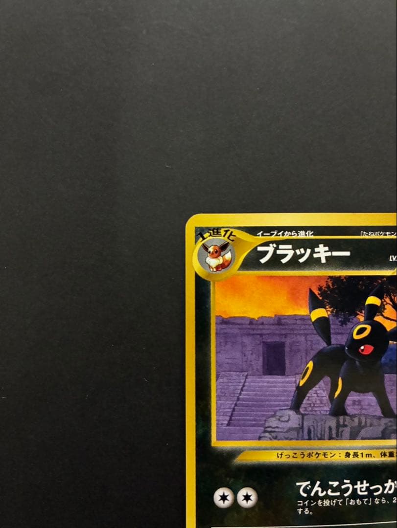 Pokemon Umbreon Old Back card stored in Premium File 2 with sleeve and loader