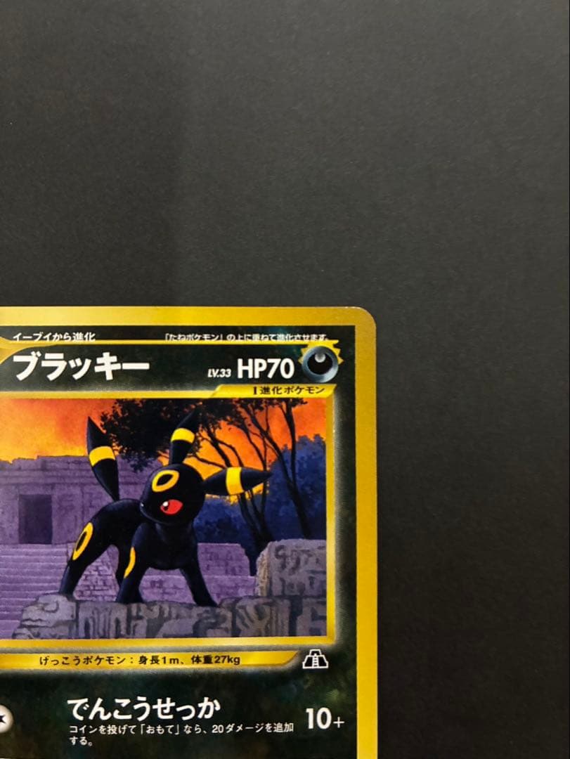Pokemon Umbreon Old Back card stored in Premium File 2 with sleeve and loader