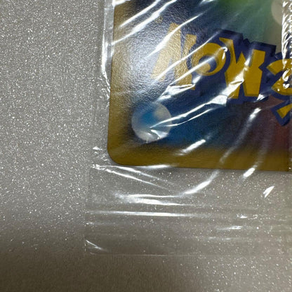 Bandai Eievui Promo Card 067/DP-P in original sleeve with visible age and dirt on packaging